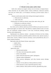 Audito rizika ir jos įvertinimas 17 puslapis