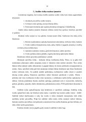 Audito rizika ir jos įvertinimas 19 puslapis