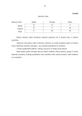 Audito rizika ir jos įvertinimas 20 puslapis