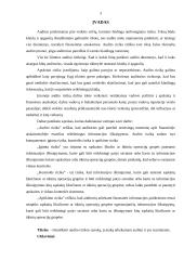 Audito rizika ir jos įvertinimas 3 puslapis