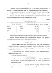 Audito rizika ir jos įvertinimas 7 puslapis