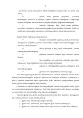 Audito rizika ir jos įvertinimas 8 puslapis