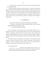 Audito rizika ir jos įvertinimas 10 puslapis