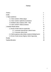 Aukso standarto istorijos apžvalga. Bretton Woods sutartis 2 puslapis