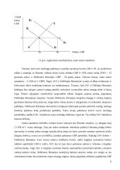 Aukso standarto istorijos apžvalga. Bretton Woods sutartis 6 puslapis