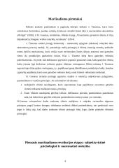 Austrų psichologinė mokykla 4 puslapis