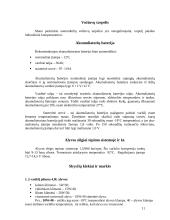 Automobilio analizė: Opel Vectra 11 puslapis