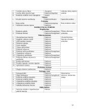 Automobilio analizė: Opel Vectra 14 puslapis