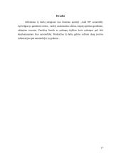 Automobilio analizė: Opel Vectra 17 puslapis