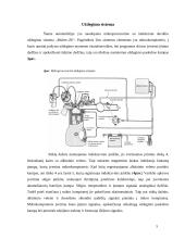 Automobilio analizė: Opel Vectra 5 puslapis