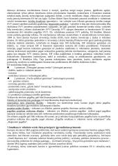 Smulkus ir vidutinis verslas - teorija 2 puslapis