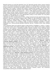 Smulkus ir vidutinis verslas - teorija 4 puslapis