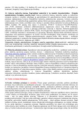 Smulkus ir vidutinis verslas - teorija 6 puslapis