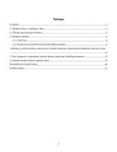 Balansas – finansinės analizės šaltinis 2 puslapis