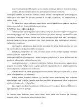 Balansas – finansinės analizės šaltinis 11 puslapis