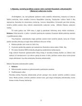 Balansas – finansinės analizės šaltinis 12 puslapis