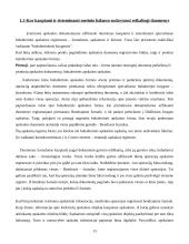 Balansas – finansinės analizės šaltinis 13 puslapis