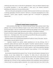 Balansas – finansinės analizės šaltinis 15 puslapis