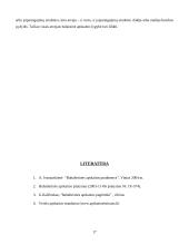 Balansas – finansinės analizės šaltinis 17 puslapis