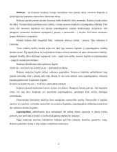 Balansas – finansinės analizės šaltinis 4 puslapis