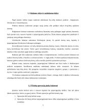 Balansas – finansinės analizės šaltinis 5 puslapis