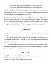 Balansas – finansinės analizės šaltinis 6 puslapis