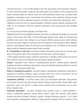 Balansas – finansinės analizės šaltinis 7 puslapis