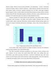 Baltijos šalių ekonominis augimas 19 puslapis