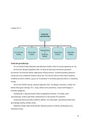 Bankininkystės raida Lietuvoje ir komerciniai bankai 14 puslapis