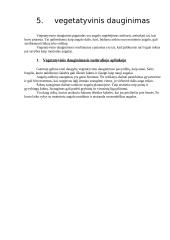 Viešvilės naujasis daigynas 12 puslapis