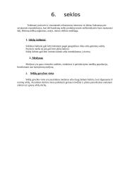 Viešvilės naujasis daigynas 13 puslapis