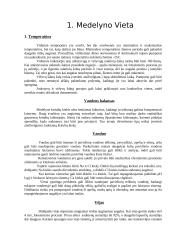 Viešvilės naujasis daigynas 4 puslapis