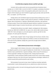 Energijos transformavimo aparatai 11 puslapis