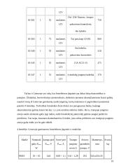 Energijos transformavimo aparatai 19 puslapis