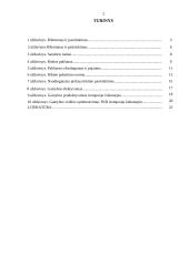 Esminės mikroekonomikos temos 2 puslapis