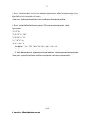 Esminės mikroekonomikos temos 12 puslapis