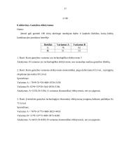 Esminės mikroekonomikos temos 17 puslapis