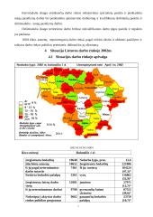Bedarbystės problema Lietuvoje ir jos sprendimo būdai 6 puslapis