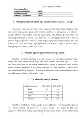 Bedarbystės problema Lietuvoje ir jos sprendimo būdai 7 puslapis