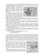Benzino įpurškimo sistemos paskirtis 7 puslapis