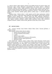 Benzino įpurškimo sistemos paskirtis 8 puslapis