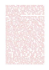 Kaip Platonas iškelia meilės idėją "Puotoje" 3 puslapis