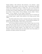 Besivystančių šalių ekonomikos problemos 11 puslapis