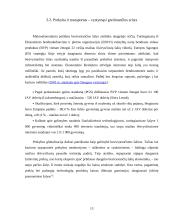 Besivystančių šalių ekonomikos problemos 13 puslapis