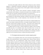 Besivystančių šalių ekonomikos problemos 16 puslapis