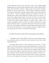 Besivystančių šalių ekonomikos problemos 17 puslapis