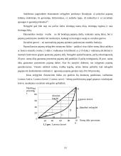 Besivystančių šalių ekonomikos problemos 10 puslapis