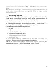 Bevielio radijo ryšio prieigos tinklų vystymas ir paslaugų tiekimas 16 puslapis