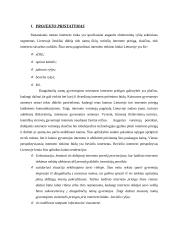 Bevielio radijo ryšio prieigos tinklų vystymas ir paslaugų tiekimas 3 puslapis