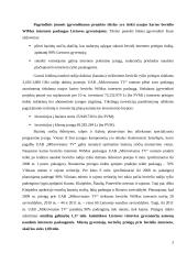 Bevielio radijo ryšio prieigos tinklų vystymas ir paslaugų tiekimas 6 puslapis